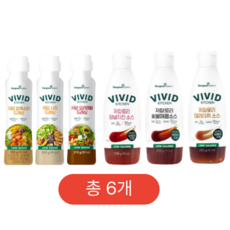 비비드키친 저칼로리 저당 드레싱 소스 (데리야끼 숯불매콤 양념치킨 오리엔탈 시저 참깨소이), 6개