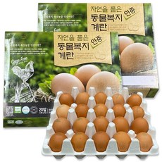 코스트코 한스팜 자연을 품은 동물복지 인증 계란 20ea x 2, 20구, 2개