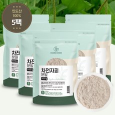 차전자피분말 가루 질경이껍질환 질경이씨앗 리필 500g 인도산, 5개