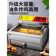 린나이전기튀김기2구