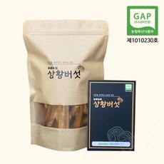 늘품농원 상황버섯 국산 가정용 절편 슬라이스 100g, 1개