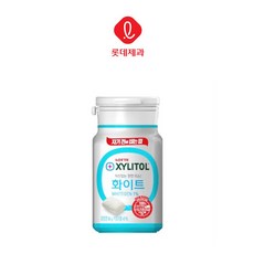 롯데제과 자일리톨 화이트 84g (용기), 1개