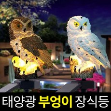 솔라콤