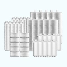 김정문알칼리이온플러스필터