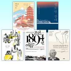 (보통 사람들의 역사) 에도로 가는 길 + 철도원 삼대 + 그냥 사람 + 조선 1894년 여름 + 인간의 내밀한 역사 (전5권)