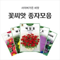 꽃씨앗 종자모음/양지식물 법면용 식용꽃 씨앗 판매