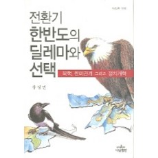 전환기 한반도의 딜레마와 선택, 나남