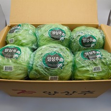 [프레시팜] 국내산 포장 양상추 6통(3.5~4kg) / 12통(7~7.5kg), 포장양상추 6통 (3.5~4kg) 1 박스