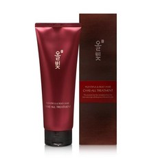 올빚 채올 트리트먼트 250ml, 1개