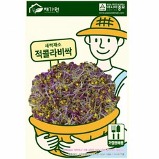 아시아종묘/새싹씨앗 적콜라비싹(500g), 1개