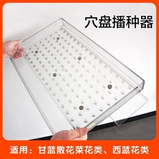 건조콜리플라워