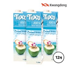 팁코 코코넛워터 혼합 주스, 12개, 1L