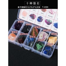 반려돌 TOP01