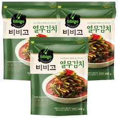 CJ 비비고 열무김치 친정엄마 집밥 400g, 3개