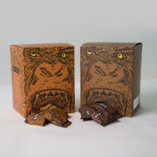 이데아프로틴바