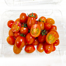 꿀맛 스테비아 방울토마토 토망고 단마토 제철 과일 방토 tomato 당뇨 간식 500그램 1 2 키로 킬로, 2팩 1kg, 1박스