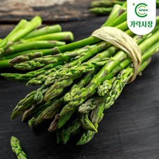 [온도씨]가락시장 아스파라거스 500g, 1개
