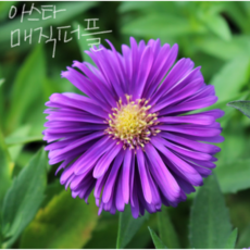 89f12d7181039ce6cd607a0bb8a9bcb22815c93619dee4e122cf2502d16d.png