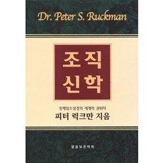 조직신학:킹제임스 성경의 세계적 권위자 피터 러그만 지음