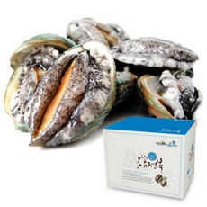 [대] 참 전복 10마리 + 선물박스포장, 1개