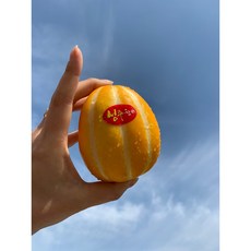 35d76b0fe89a1f9a51bfc90b9569e57f91c62703232391f6e9aca6c0cc31.jpg