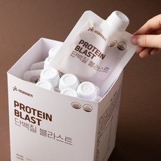 국대이야기 단백질블라스트 프로틴 쉐이크 초코맛 보충제 파우더 한끼 식사대용 스파우트 파우치 30g 10포, 1세트, 300g