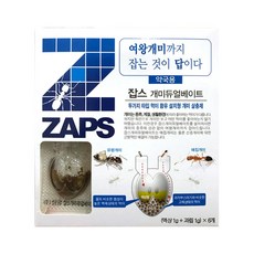 //상품명