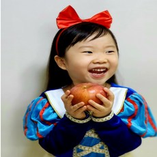  밀양 얼음골사과 10KG 5KG 꿀사과 부사, 40개 