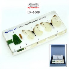 5dd51a704c1cd20e55594bc31e8b76ffecc97ad03cab507af5238f2934e2.jpg