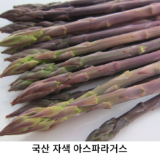국내산 신선한 자색 아스파라거스 1kg 국산 제철 생 퍼플 아스파라거스 보라 아스파라거스 혼합 대사이즈 건강식품, 1개