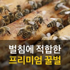 effccdae4ce6ad14cbb82c81c5eb75bad1325f10fcbc93449551c2462512.jpeg