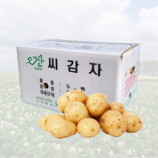  강원도 씨감자 수미 두백 분나는 감자 씨앗, 1개, 두백 20kg 