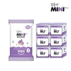 순둥이미니 프리미엄 물티슈 휴대용 5매 60팩(65g) P-6Mini, 65g, 60개