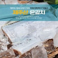 제주강해성수산