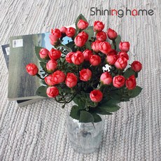 이누스인테리어