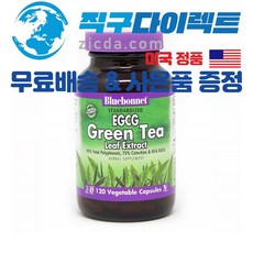 [직구다이렉트 무료배송&사은품 증정] BlueBonnet 블루보넷 식물성 식욕억제제 다이어트보조제 혈액순환개선제 녹차 카테킨 EGCG 폴리페놀 350mg 120캡슐, 1개, 기본