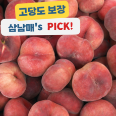 납작복숭아 TOP01