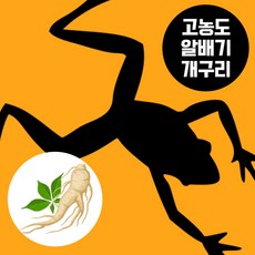 개구리즙 TOP01