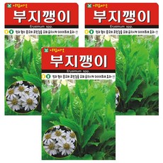 부지깽이 씨앗, 3개 3개