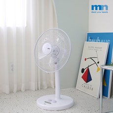 엠엔선풍기