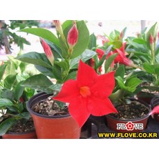 72e5ff48311792a9dac4de4ad04d1690b4d716d1d89ed42d33d45f4ea278.jpg
