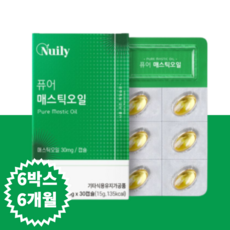 엠스틱신형