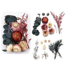 용인비누원데이