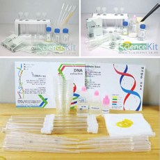 생명실험키트