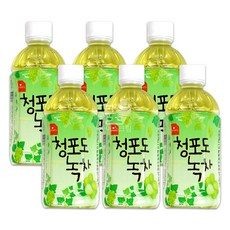 웰그린 청포도 녹차 340ml 6개