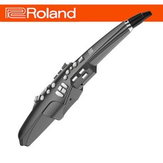 롤랜드 전자색소폰 에어로폰 Aerophone AE-10 AE10, 그레이