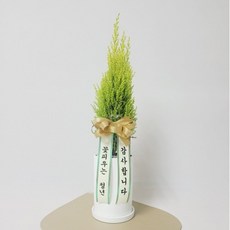 바구니리본메세지