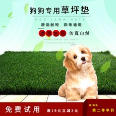 강아지배변판 애완동물 강아지 화장실 배치 잔디 매트강아지 침대커버 푸들 소형 7골든리트리버 인조잔디 매트, S- 작은 45 50cm, 20mm 강화 인공 천연 잔디