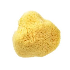 [뷰티풀솝]그리스 천연 해면 [Silk Cosmetic Sea Sponge]33.5인치 [딥클렌징 각질