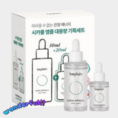 비플레인시카풀앰플